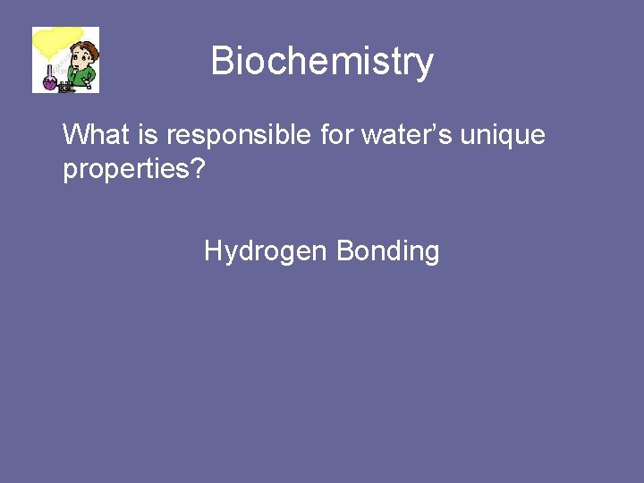 Biochemistry What is responsible for water’s unique properties? Hydrogen Bonding 