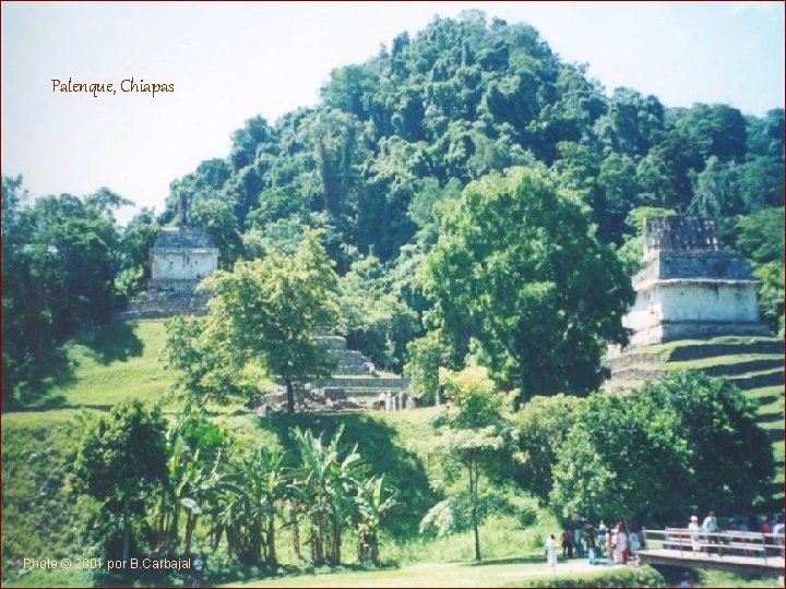 Palenque, Chiapas Photo © 2001 por B. Carbajal 