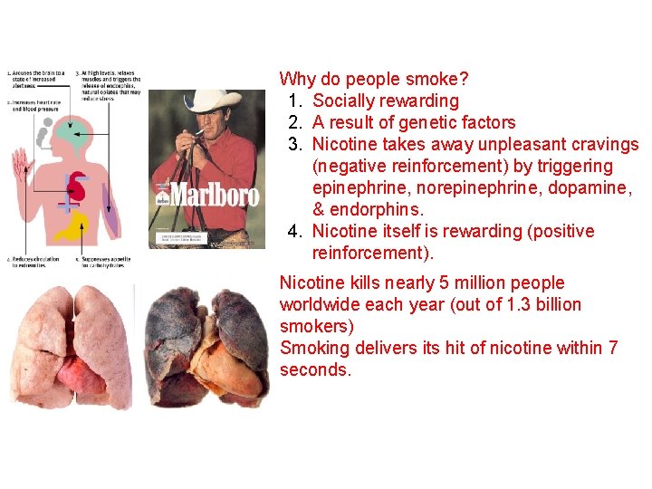 Why do people smoke? 1. Socially rewarding 2. A result of genetic factors 3.