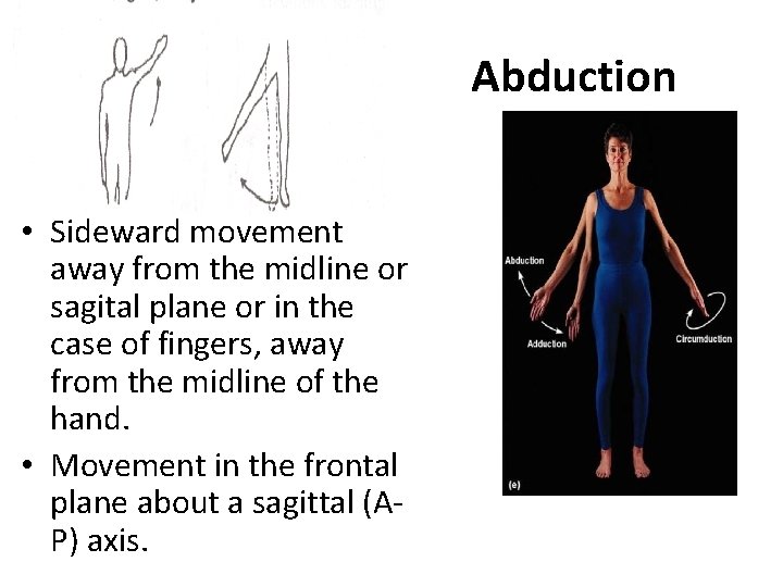 Abduction • Sideward movement away from the midline or sagital plane or in the Abduction • Sideward movement away from the midline or sagital plane or in the