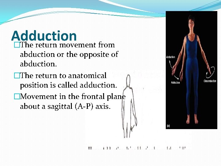 Adduction �The return movement from abduction or the opposite of abduction. �The return to Adduction �The return movement from abduction or the opposite of abduction. �The return to
