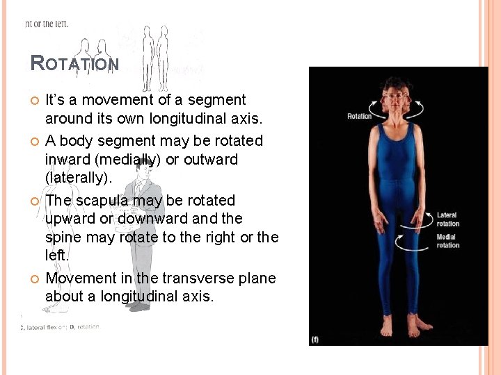 ROTATION It’s a movement of a segment around its own longitudinal axis. A body ROTATION It’s a movement of a segment around its own longitudinal axis. A body