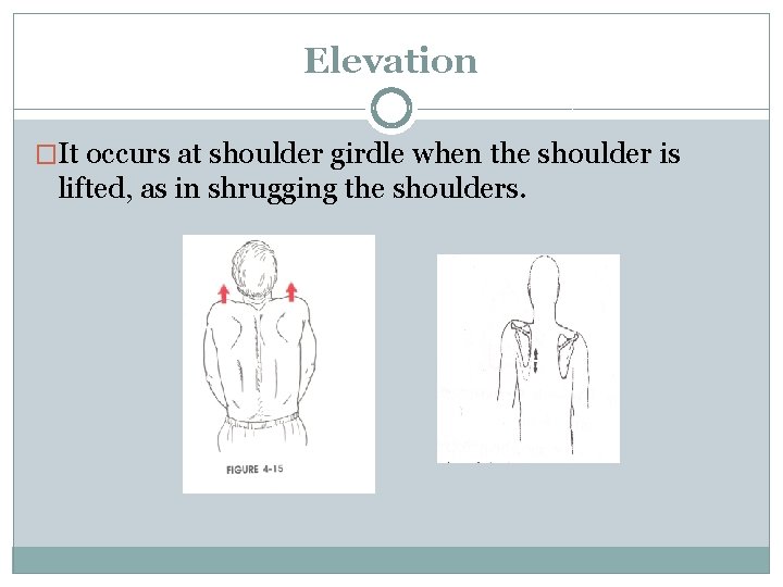 Elevation �It occurs at shoulder girdle when the shoulder is lifted, as in shrugging Elevation �It occurs at shoulder girdle when the shoulder is lifted, as in shrugging