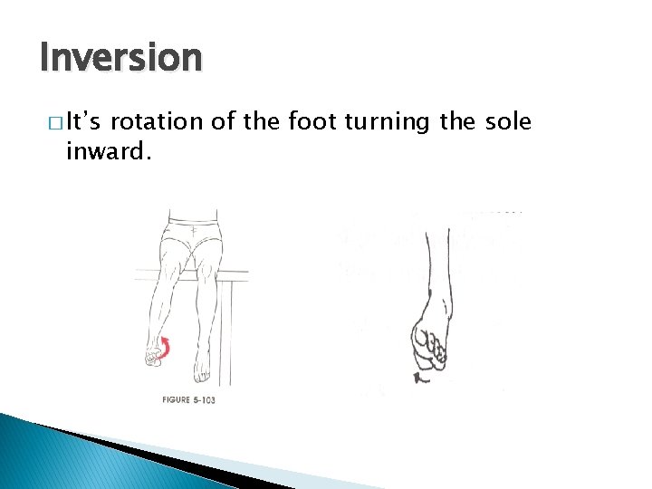 Inversion � It’s rotation of the foot turning the sole inward. 