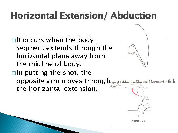 Horizontal Extension/ Abduction � It occurs when the body segment extends through the horizontal Horizontal Extension/ Abduction � It occurs when the body segment extends through the horizontal