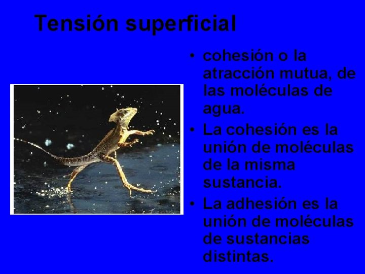 Tensión superficial • cohesión o la atracción mutua, de las moléculas de agua. •