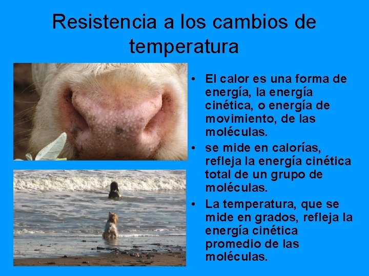 Resistencia a los cambios de temperatura • El calor es una forma de energía,