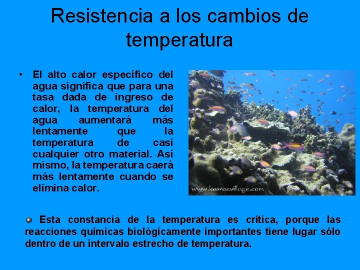 Resistencia a los cambios de temperatura • El alto calor específico del agua significa