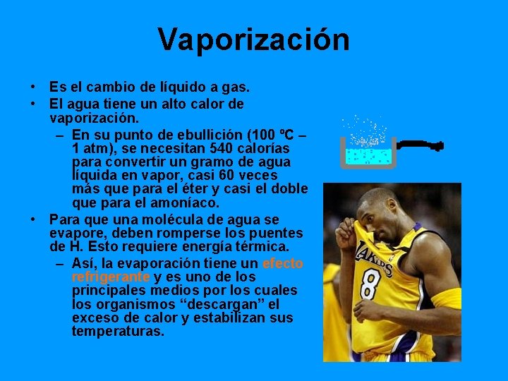 Vaporización • Es el cambio de líquido a gas. • El agua tiene un