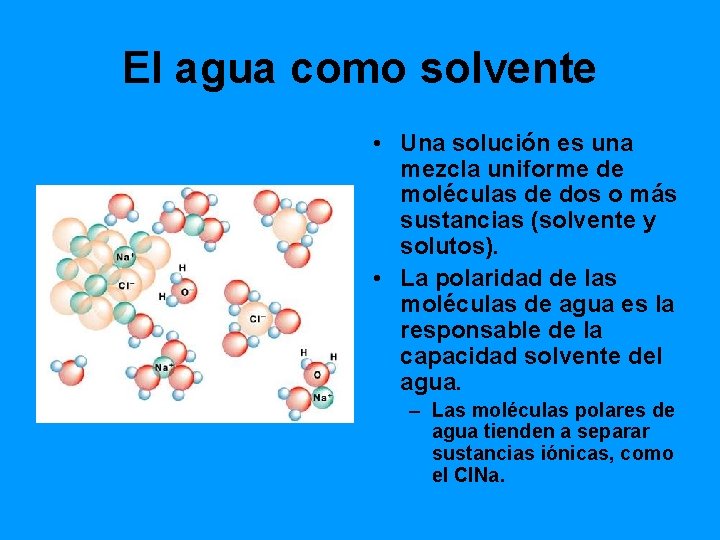 El agua como solvente • Una solución es una mezcla uniforme de moléculas de