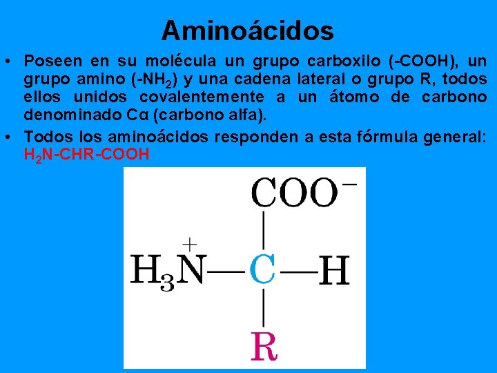 Aminoácidos • Poseen en su molécula un grupo carboxilo (-COOH), un grupo amino (-NH