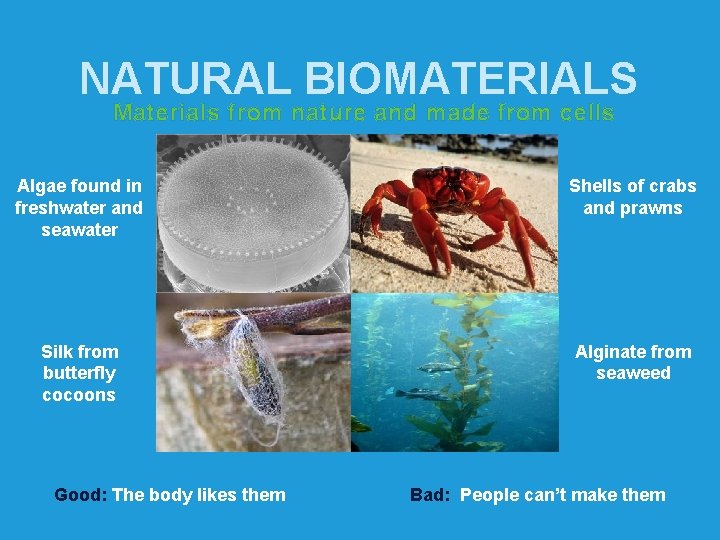 NATURAL BIOMATERIALS Materials from nature and made from cells Algae found in freshwater and