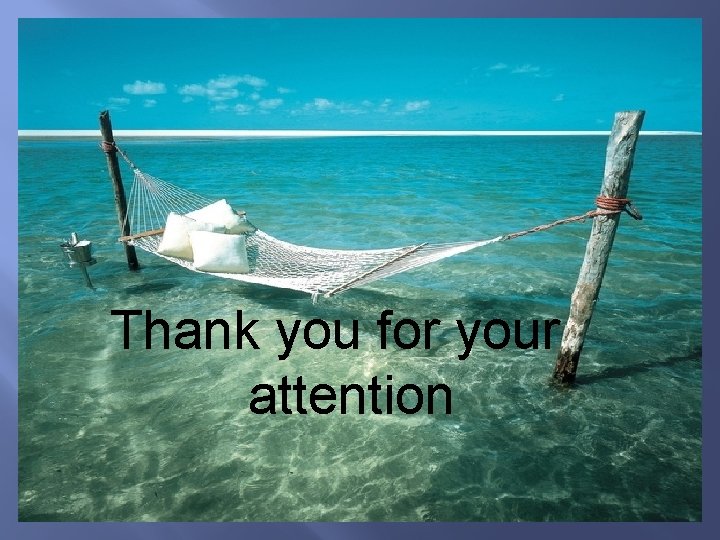 Thank you for your attention 