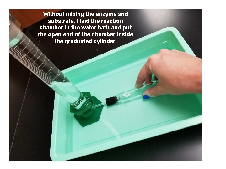 Without mixing the enzyme and substrate, I laid the reaction chamber in the water