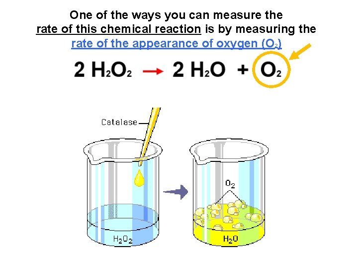 One of the ways you can measure the rate of this chemical reaction is