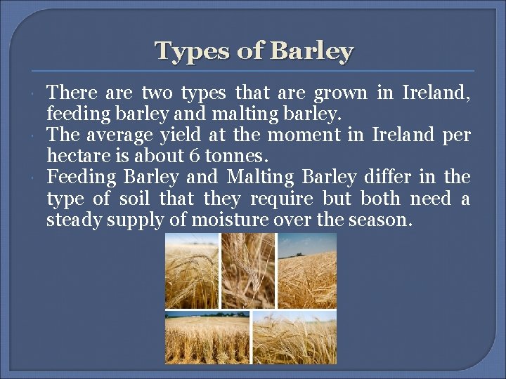 Types of Barley There are two types that are grown in Ireland, feeding barley