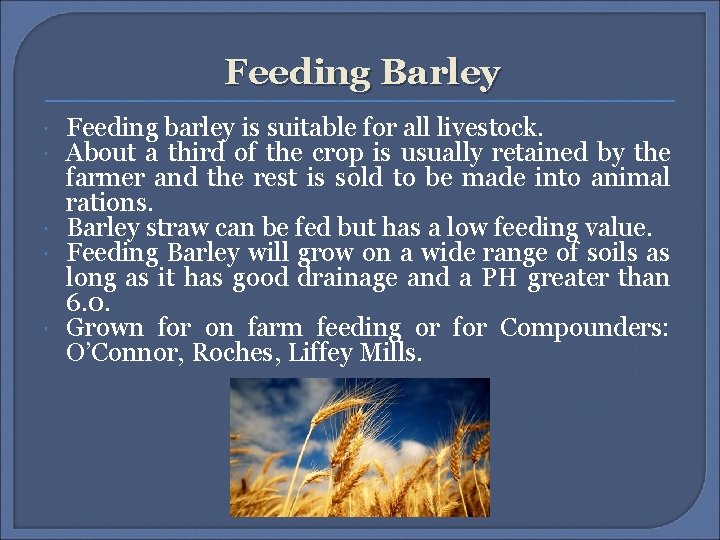 Feeding Barley Feeding barley is suitable for all livestock. About a third of the