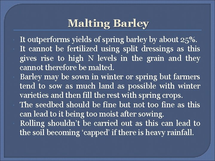 Malting Barley It outperforms yields of spring barley by about 25%. It cannot be