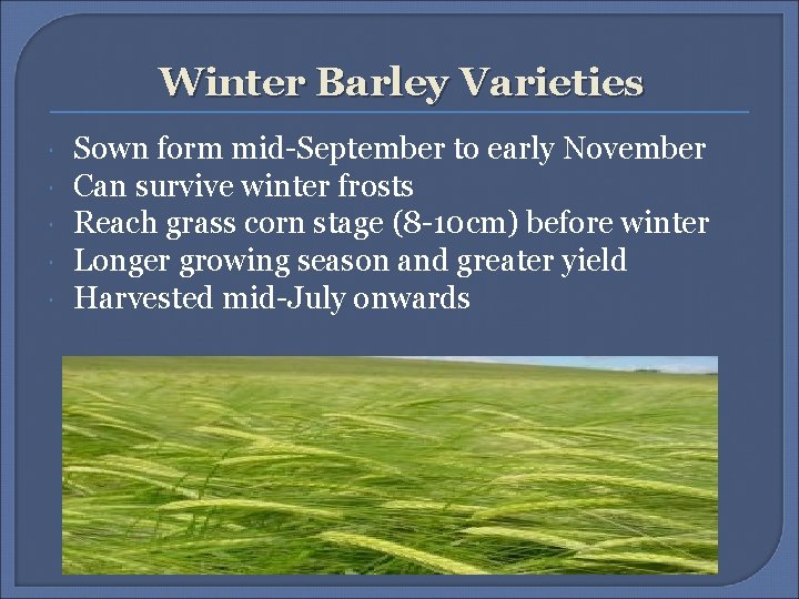 Winter Barley Varieties Sown form mid-September to early November Can survive winter frosts Reach