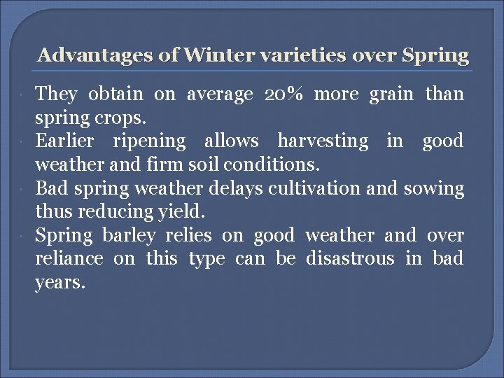 Advantages of Winter varieties over Spring They obtain on average 20% more grain than