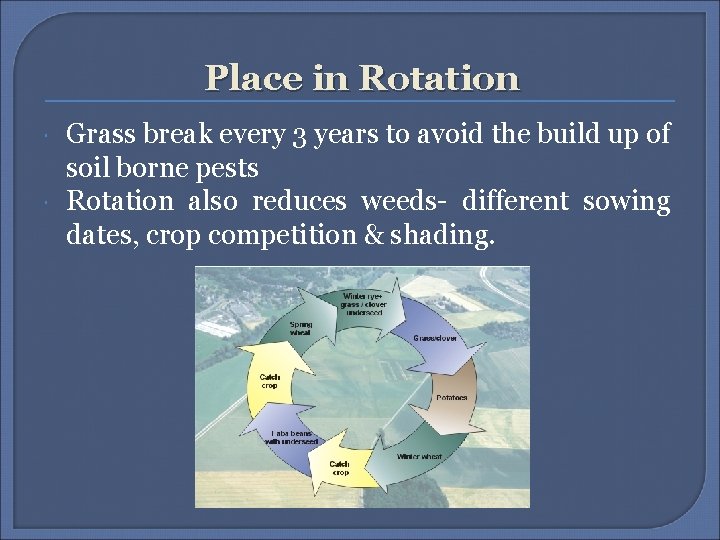 Place in Rotation Grass break every 3 years to avoid the build up of