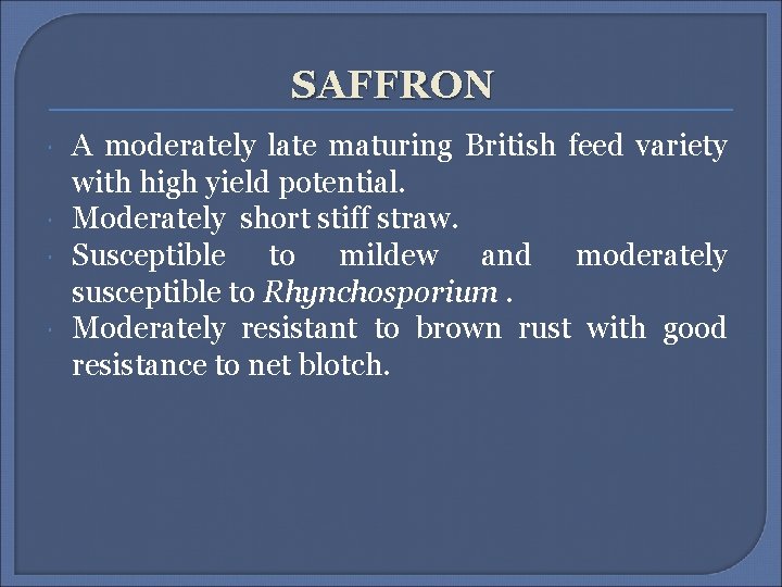 SAFFRON A moderately late maturing British feed variety with high yield potential. Moderately short