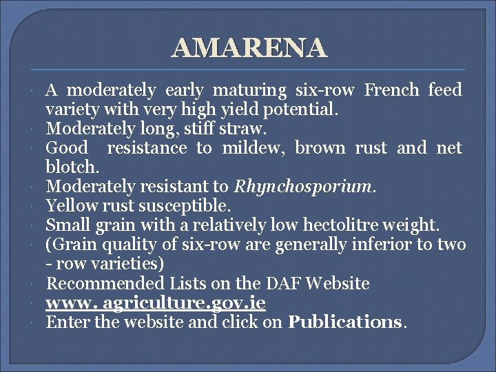 AMARENA A moderately early maturing six-row French feed variety with very high yield potential.