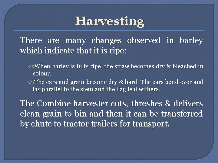 Harvesting There are many changes observed in barley which indicate that it is ripe;