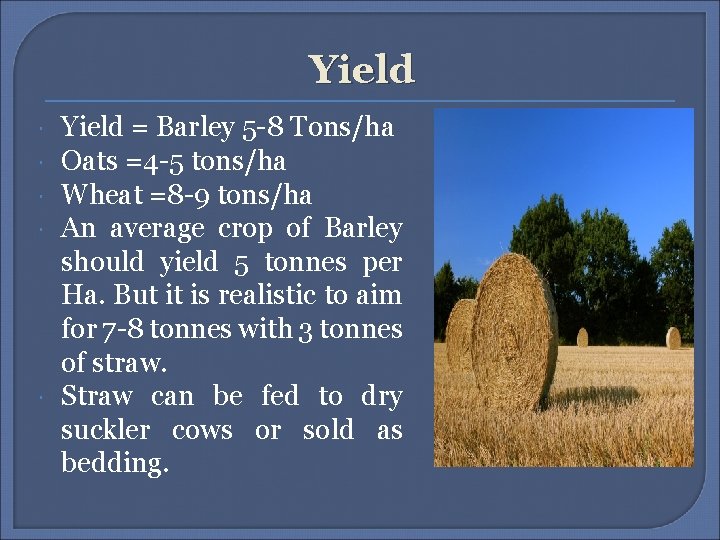 Yield Yield = Barley 5 -8 Tons/ha Oats =4 -5 tons/ha Wheat =8 -9