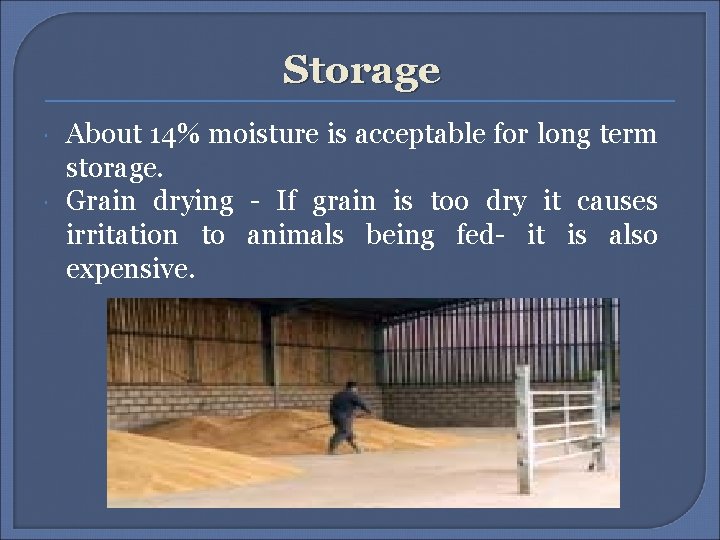 Storage About 14% moisture is acceptable for long term storage. Grain drying - If