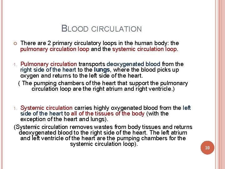 BLOOD CIRCULATION 1. There are 2 primary circulatory loops in the human body: the BLOOD CIRCULATION 1. There are 2 primary circulatory loops in the human body: the