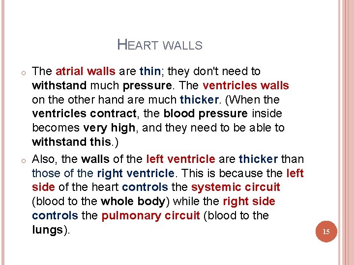 HEART WALLS o o The atrial walls are thin; they don't need to withstand HEART WALLS o o The atrial walls are thin; they don't need to withstand