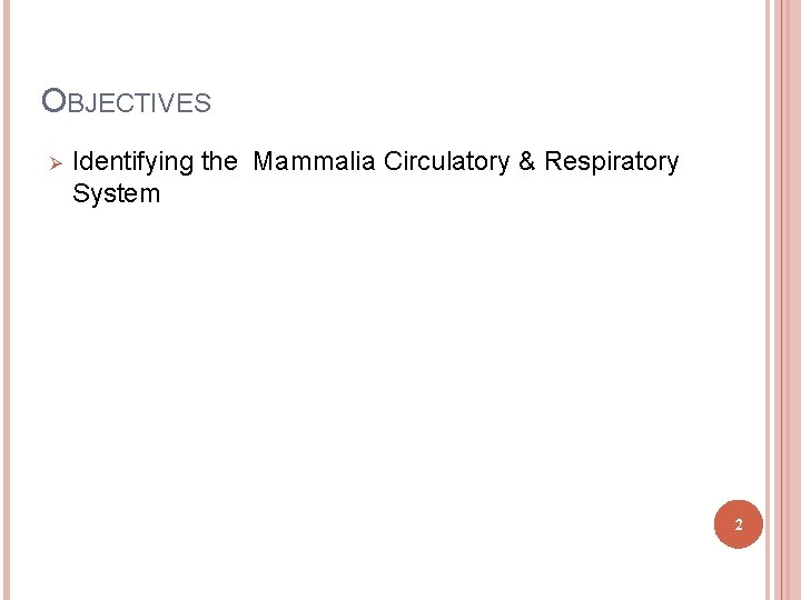 OBJECTIVES Ø Identifying the Mammalia Circulatory & Respiratory System 2 OBJECTIVES Ø Identifying the Mammalia Circulatory & Respiratory System 2