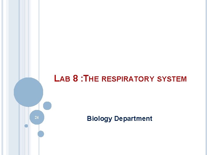 LAB 8 : THE RESPIRATORY SYSTEM 24 Biology Department LAB 8 : THE RESPIRATORY SYSTEM 24 Biology Department