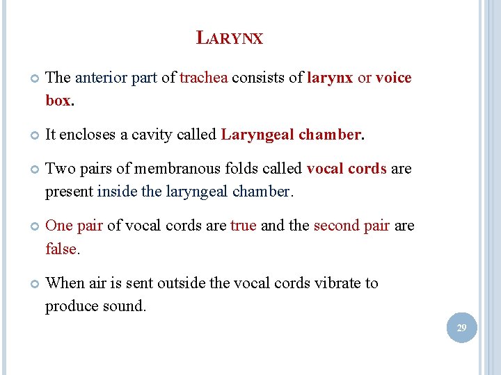 LARYNX The anterior part of trachea consists of larynx or voice box. It encloses LARYNX The anterior part of trachea consists of larynx or voice box. It encloses