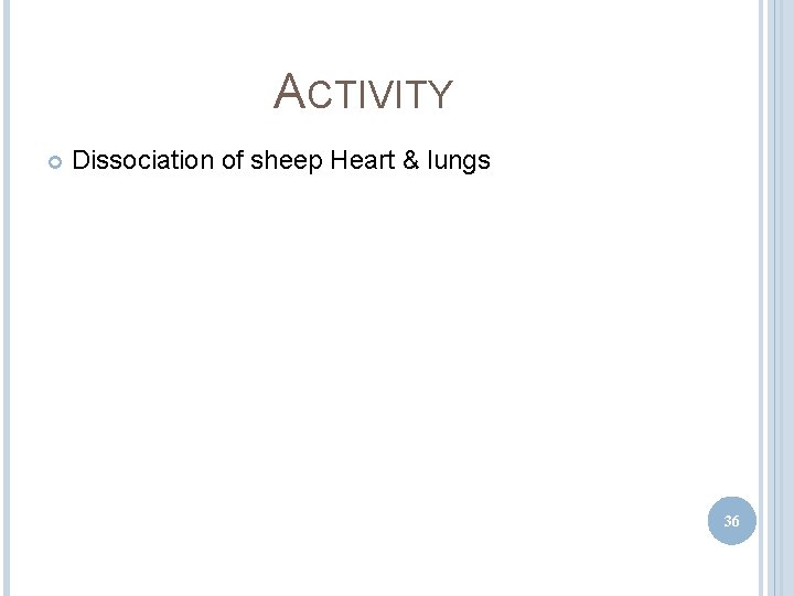 ACTIVITY Dissociation of sheep Heart & lungs 36 ACTIVITY Dissociation of sheep Heart & lungs 36