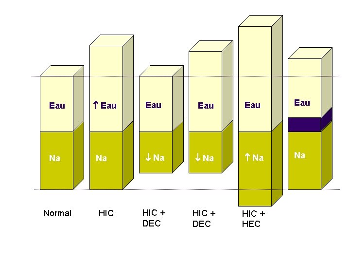 Eau Na Normal Eau Na HIC Eau Eau Na Na Na HIC + DEC