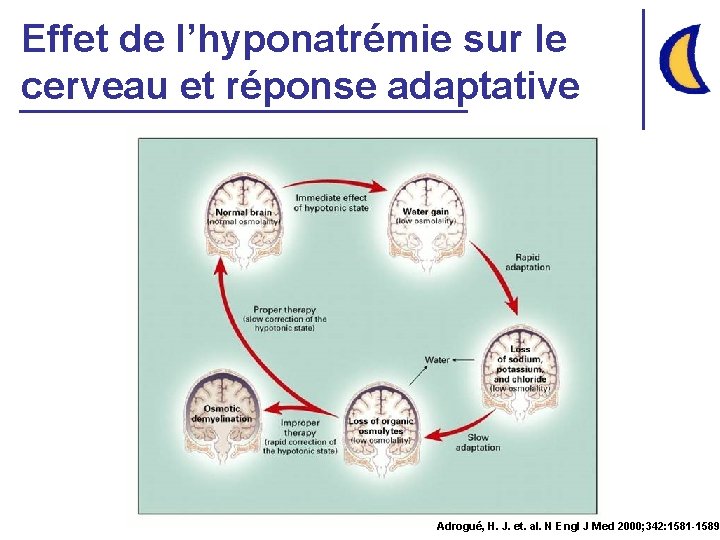 Effet de l’hyponatrémie sur le cerveau et réponse adaptative Adrogué, H. J. et. al.