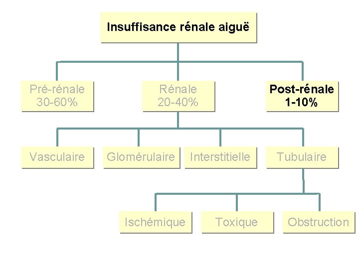 Insuffisance rénale aiguë Pré-rénale 30 -60% Vasculaire Rénale 20 -40% Glomérulaire Ischémique Post-rénale 1