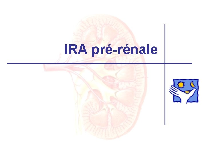 IRA pré-rénale 