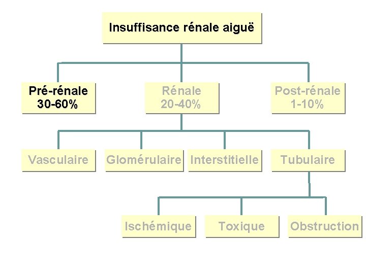 Insuffisance rénale aiguë Pré-rénale 30 -60% Rénale 20 -40% Post-rénale 1 -10% Vasculaire Glomérulaire