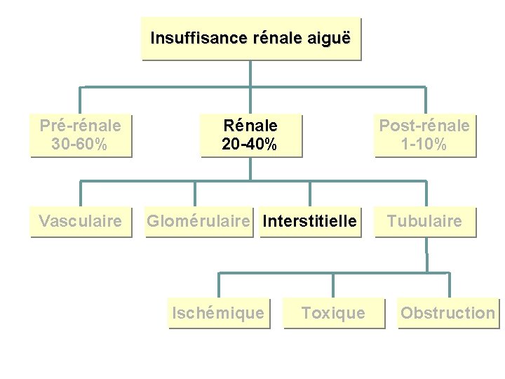 Insuffisance rénale aiguë Pré-rénale 30 -60% Rénale 20 -40% Post-rénale 1 -10% Vasculaire Glomérulaire
