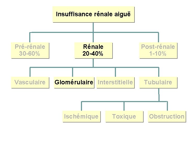 Insuffisance rénale aiguë Pré-rénale 30 -60% Rénale 20 -40% Post-rénale 1 -10% Vasculaire Glomérulaire