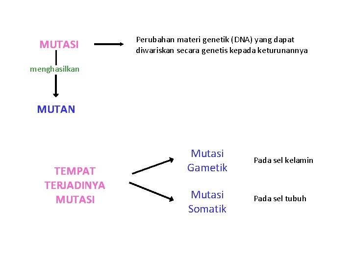 MUTASI Perubahan materi genetik (DNA) yang dapat diwariskan secara genetis kepada keturunannya menghasilkan MUTAN