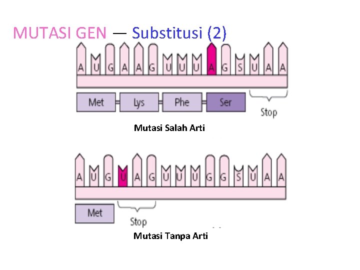 MUTASI GEN — Substitusi (2) Mutasi Salah Arti Mutasi Tanpa Arti 