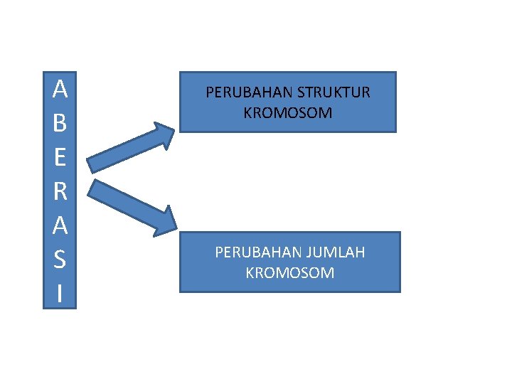 A B E R A S I PERUBAHAN STRUKTUR KROMOSOM PERUBAHAN JUMLAH KROMOSOM 