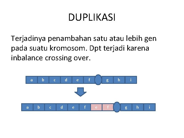 DUPLIKASI Terjadinya penambahan satu atau lebih gen pada suatu kromosom. Dpt terjadi karena inbalance