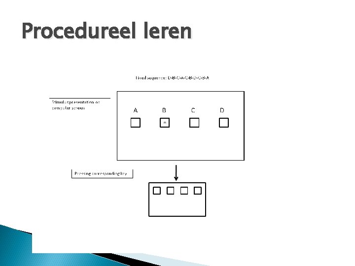 Procedureel leren 