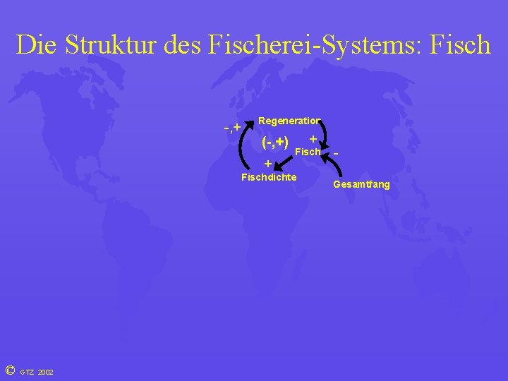 Die Struktur des Fischerei-Systems: Fisch -, + Regeneration (-, +) + Fischdichte © GTZ