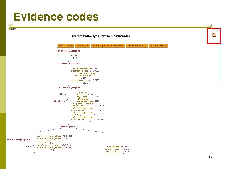 Evidence codes 12 